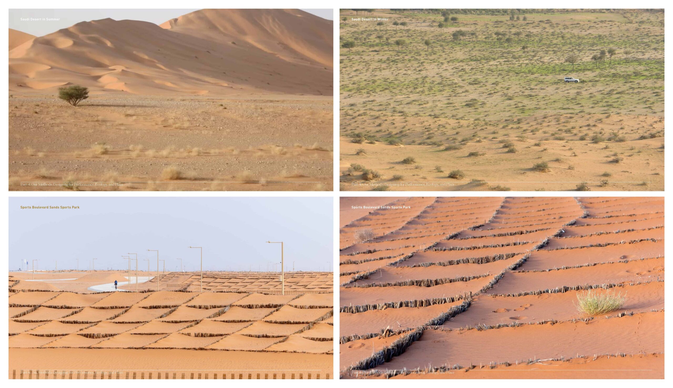 Grid of four different desert landscapes