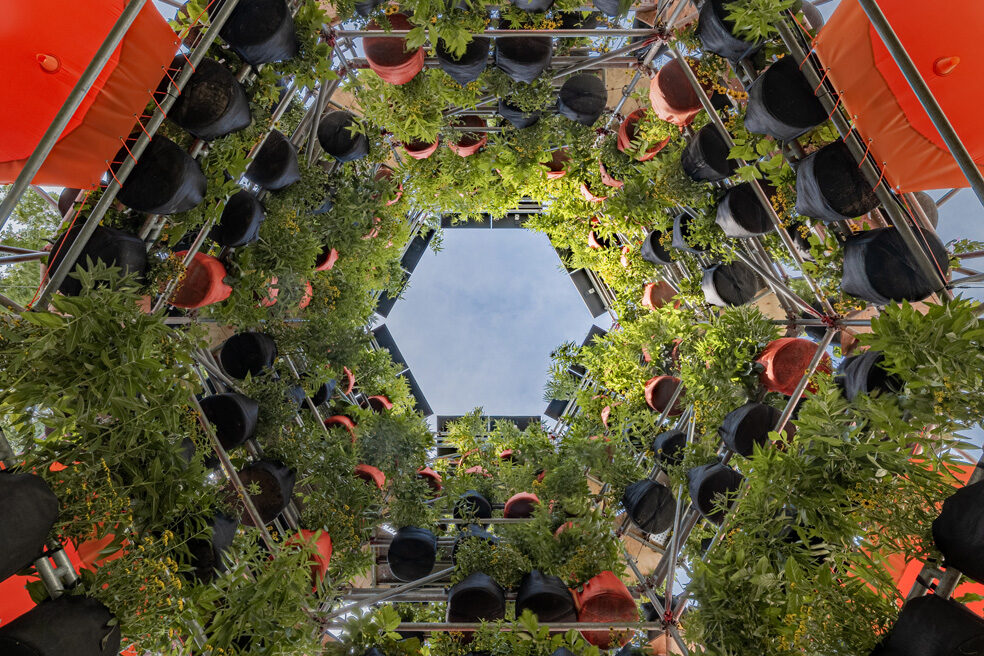A photograph of Belinda Tato's Polinature project. The view, facing directly upward, shows rings of plants hanging from scaffolding.