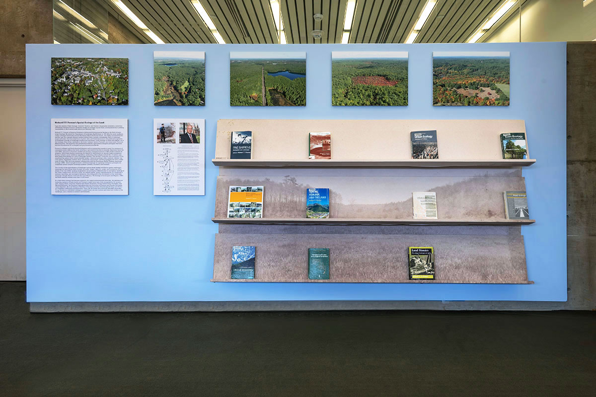 A wall with landscape images above shelves displaying books.