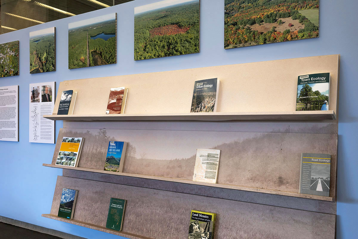 A wall with landscape images above shelves displaying books.