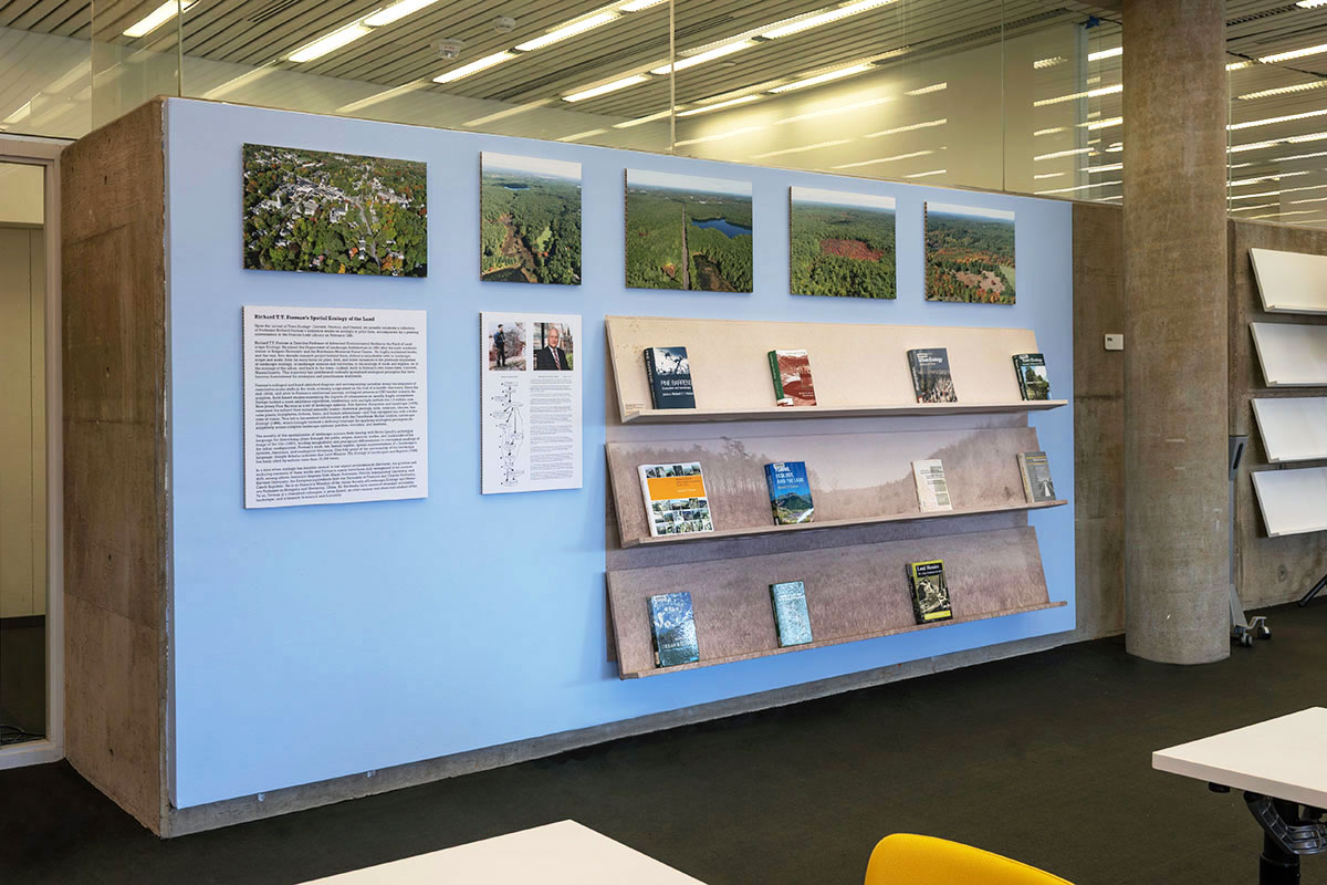 A wall with landscape images above shelves displaying books.