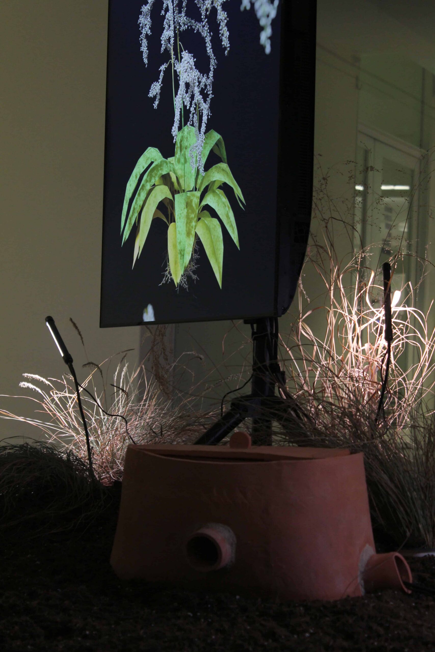 Closeup of a zeer pot with a screen in the background. The screen contains an image of a plant.