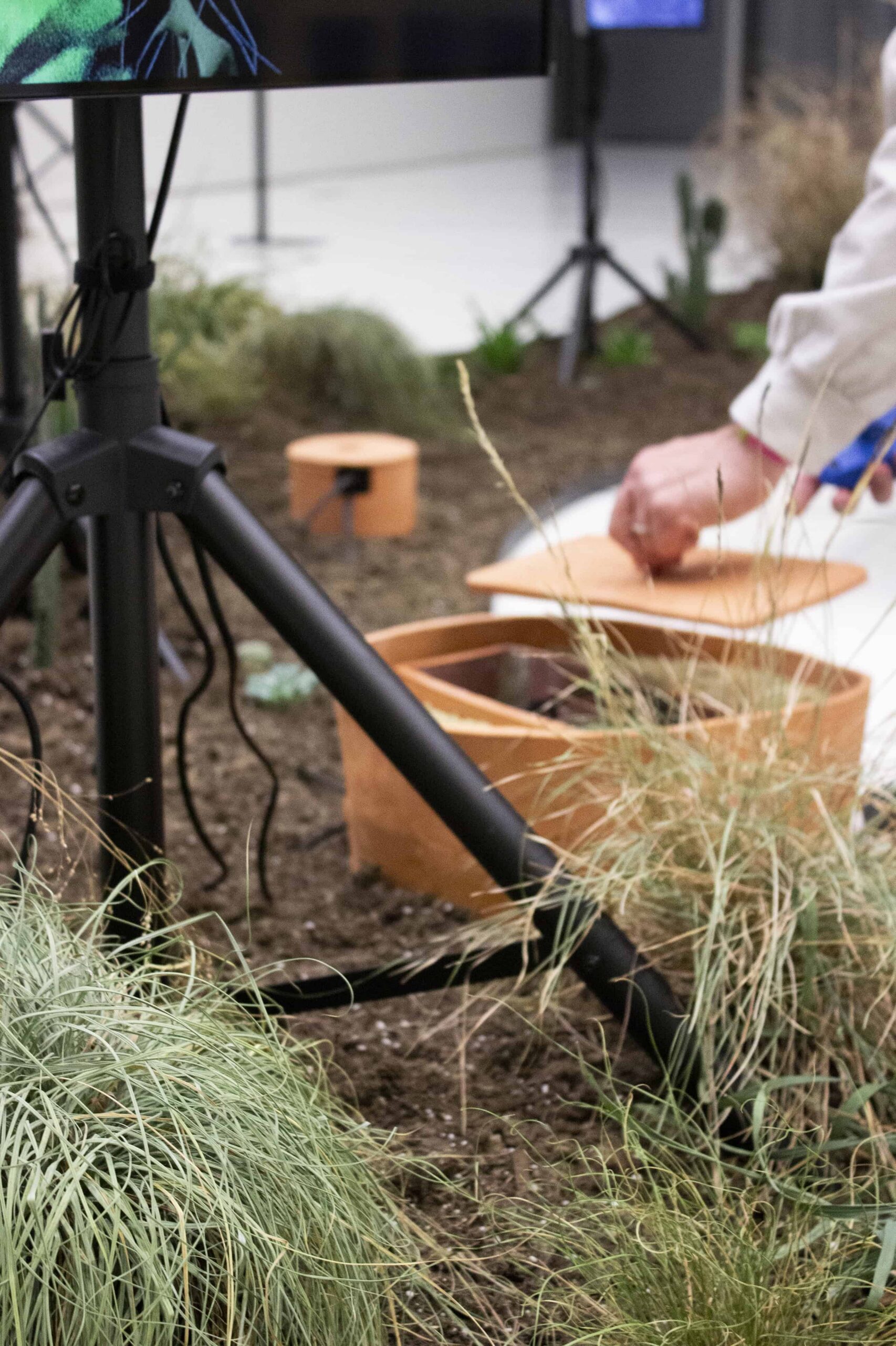 A zeer pot surrounded by plants.
