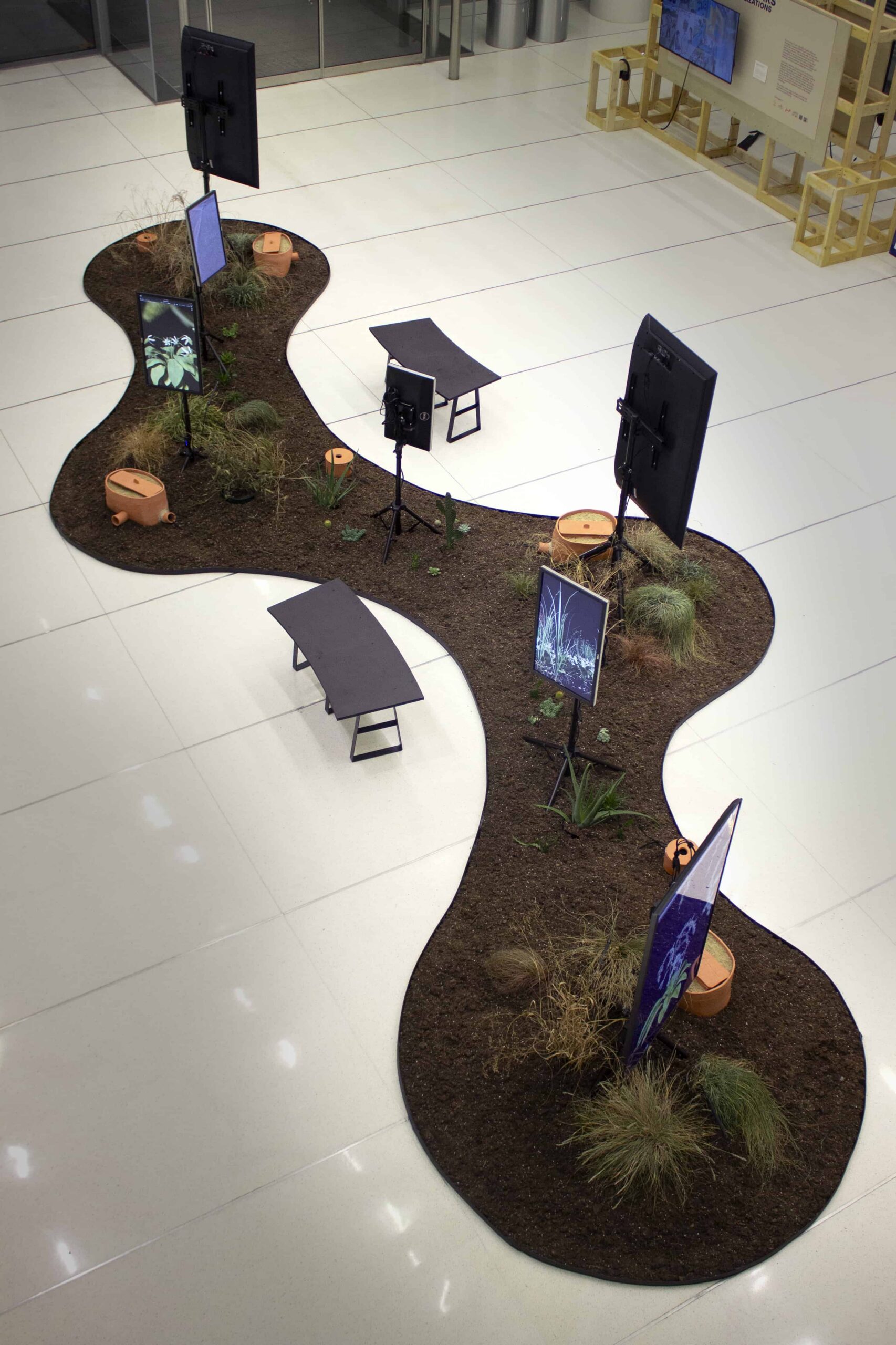 An overhead view of an installation with screens and plants on an irregularly shaped surface.