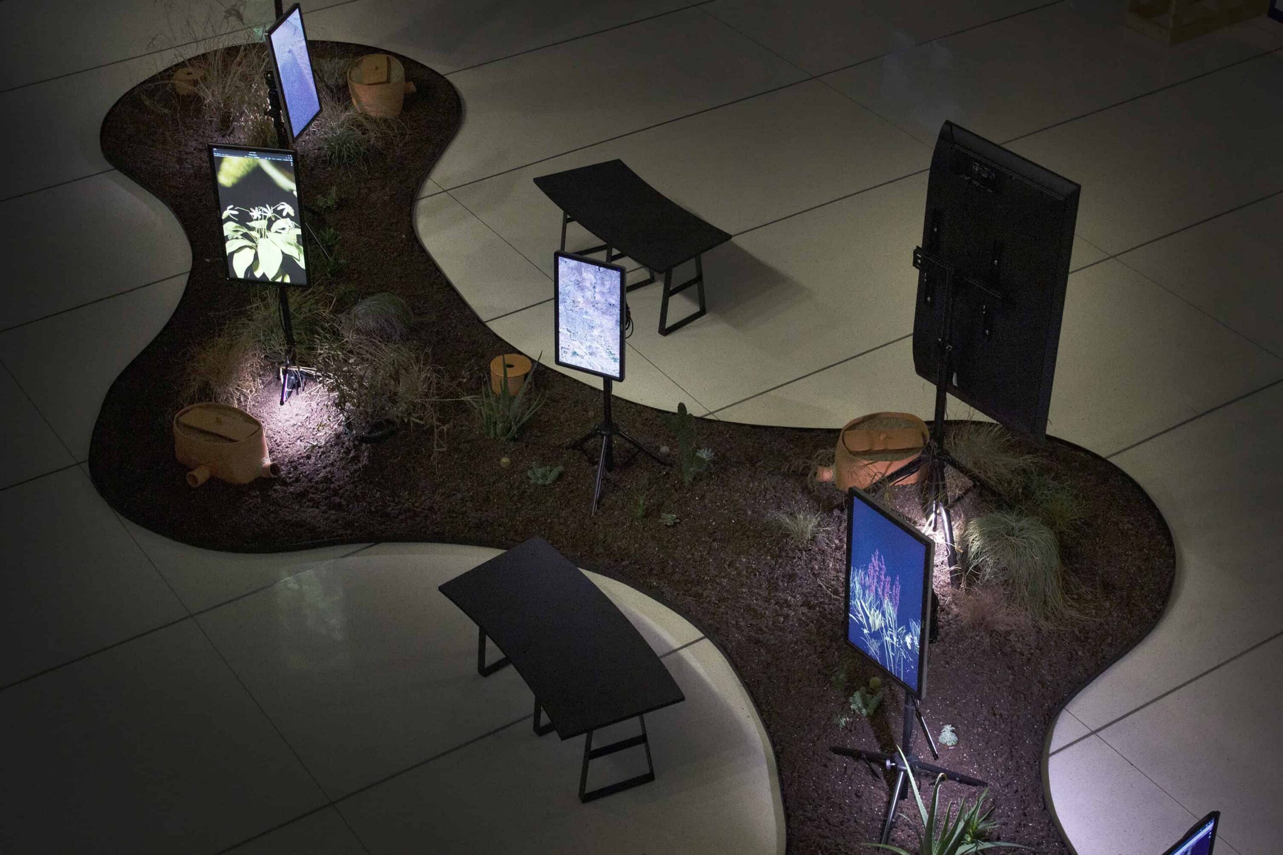 A view of an installation with screens and plants on an irregularly shaped surface.