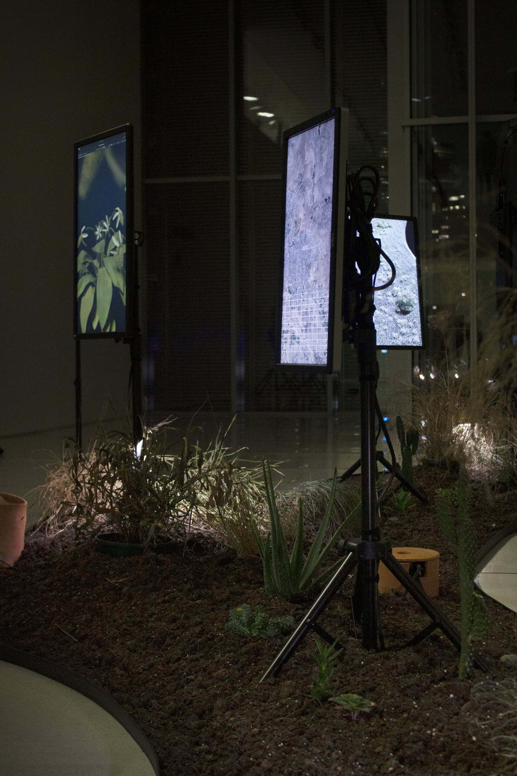 A view of an installation with screens and plants on an irregularly shaped surface.