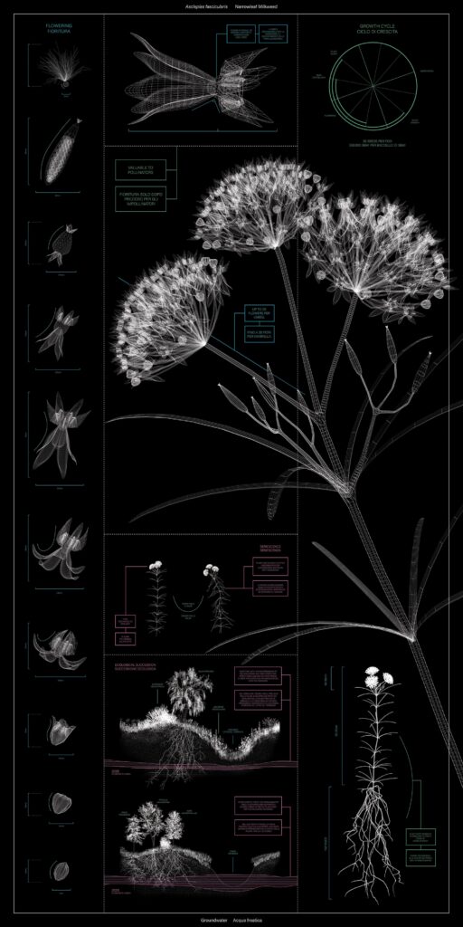 White silhouette of plants on a black background.