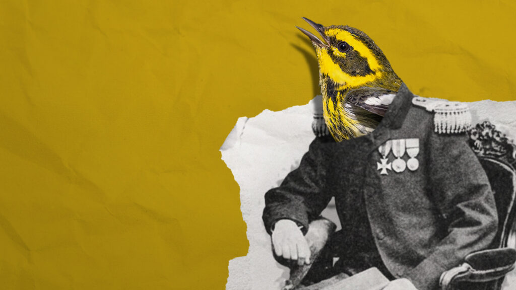 Short Film Produced by Aliza Sovani (MLA ’15) Premiered on CBC