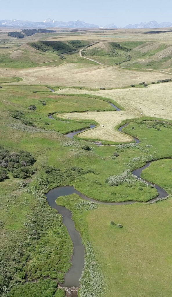 How Landscape Architects Work with Nature’s Furriest Engineers
