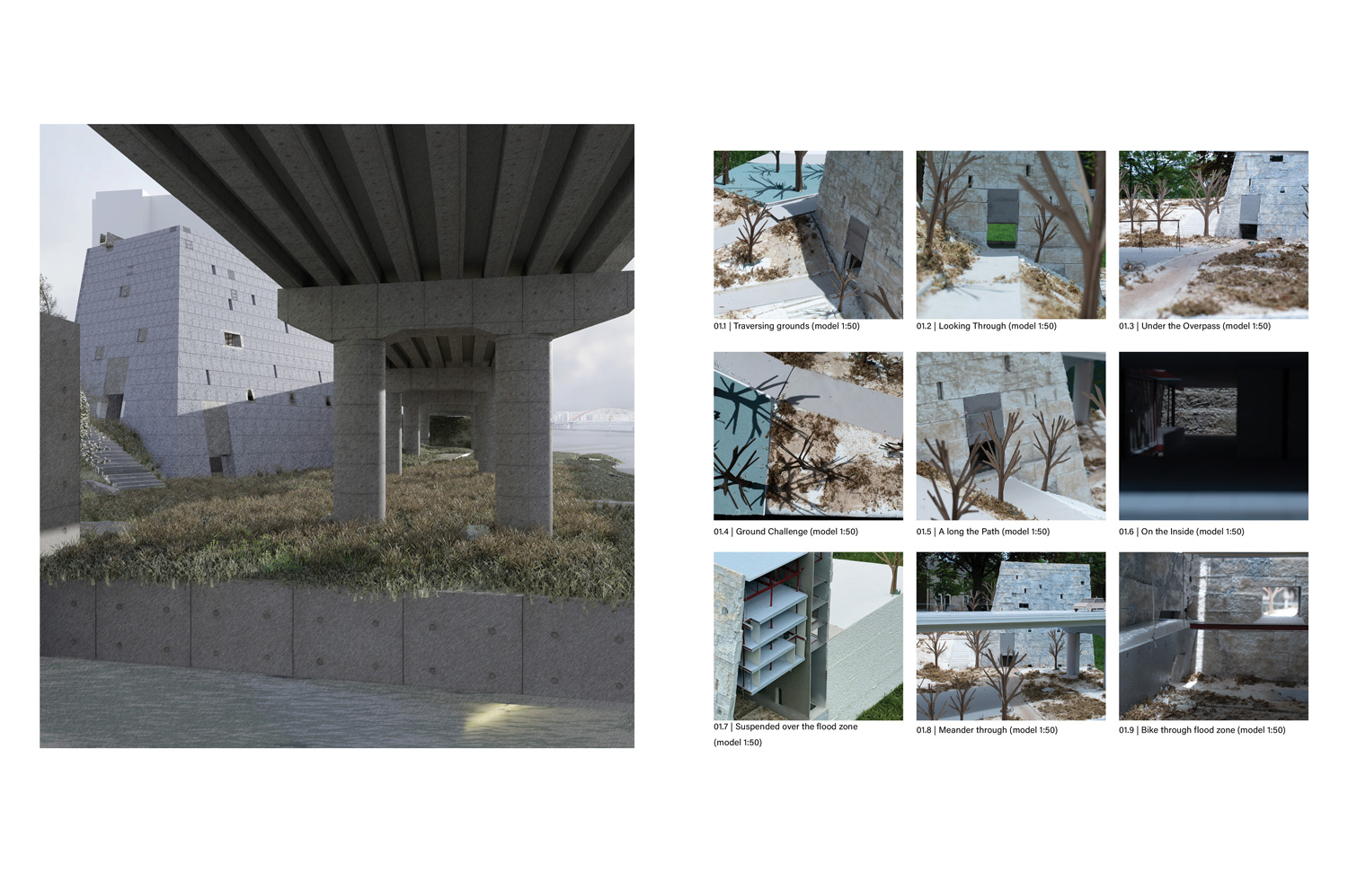 Many images of bridge, vegetation, tunnels.
