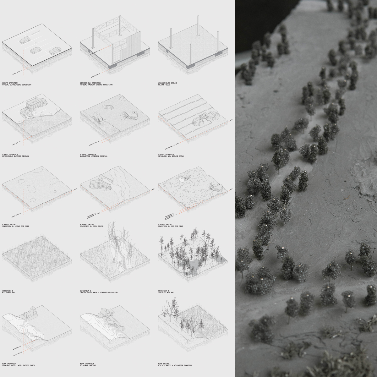 Axonometric diagram illustrating the processes of ground formation in Poletown Park for both the factory ground and surroundings. Landscape acts as an armature for setting in place a number of ecological succession landscapes.