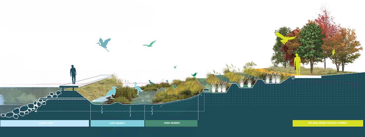 Section of coastal area.