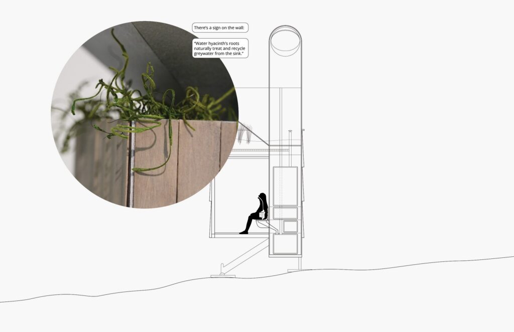 drawing of a person sitting on a toilet, looking at hyacinths above
