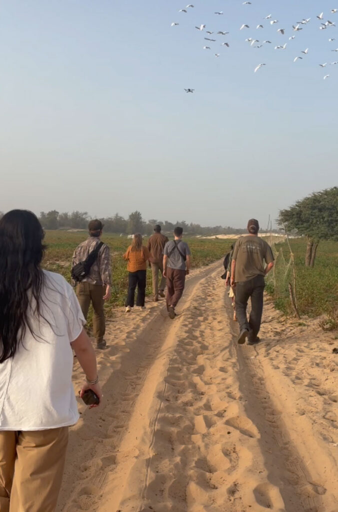 Extending the Great Green Wall in Dakar