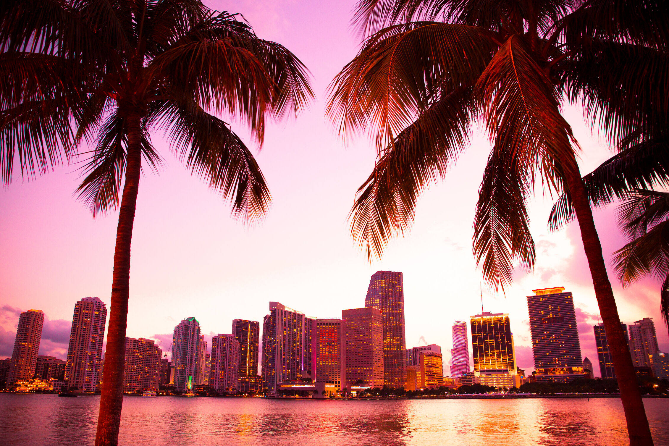 Palm trees frame a brightly lit city skyline across calm water at sunset, beneath a pink and orange sky.