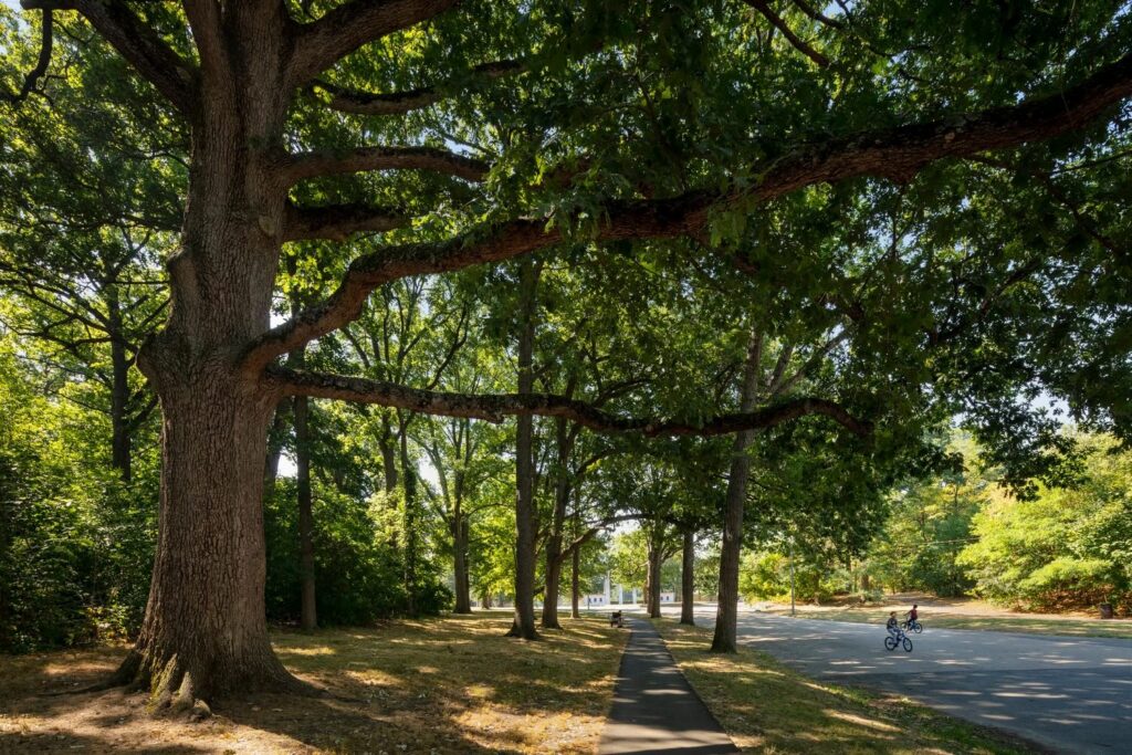 Nature is the Living Matter in our Systems 