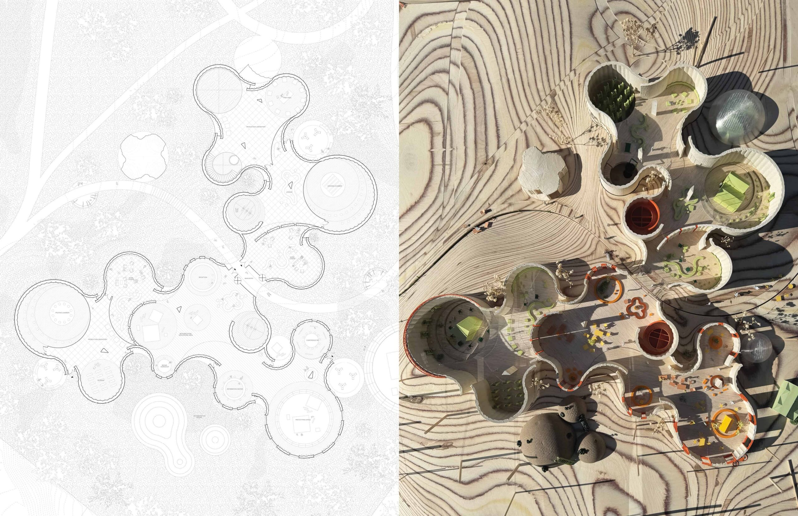 Left: diagram, right: model