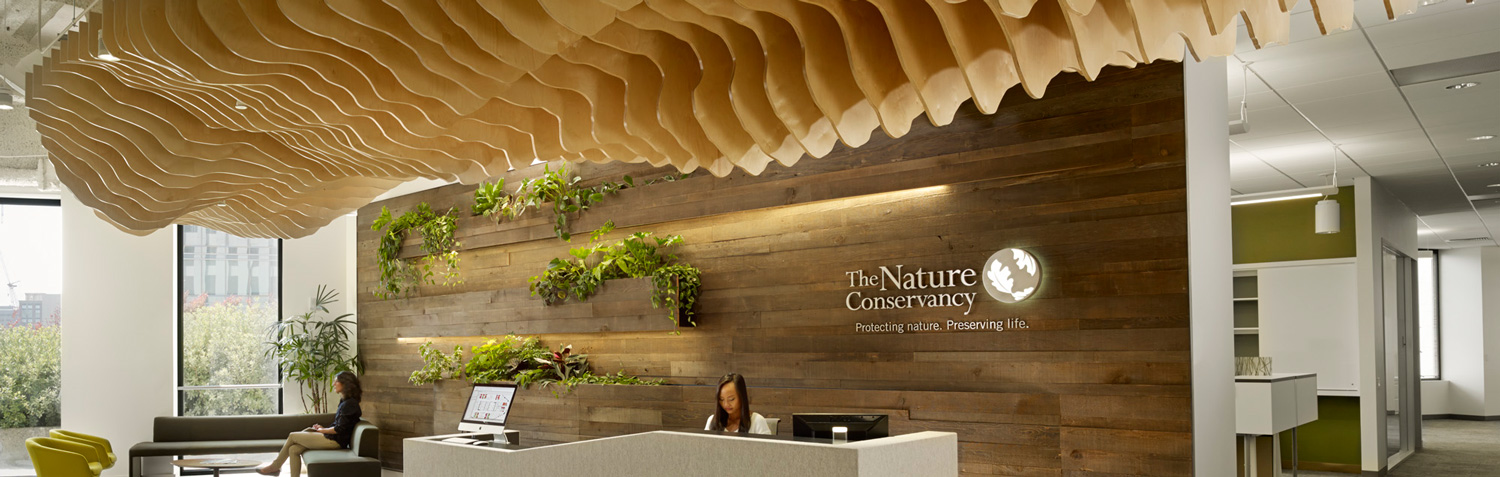 A lobby of an office with a wood wall behind the reception desk, windows to the left, and a textured wood ceiling.