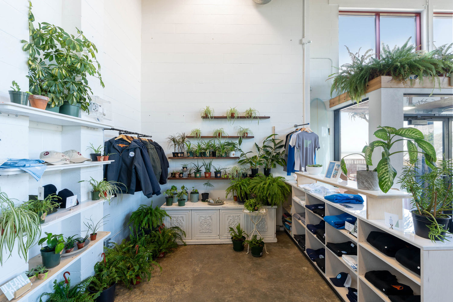 Plants and hanging shirts on display in a large white room with many shelves.