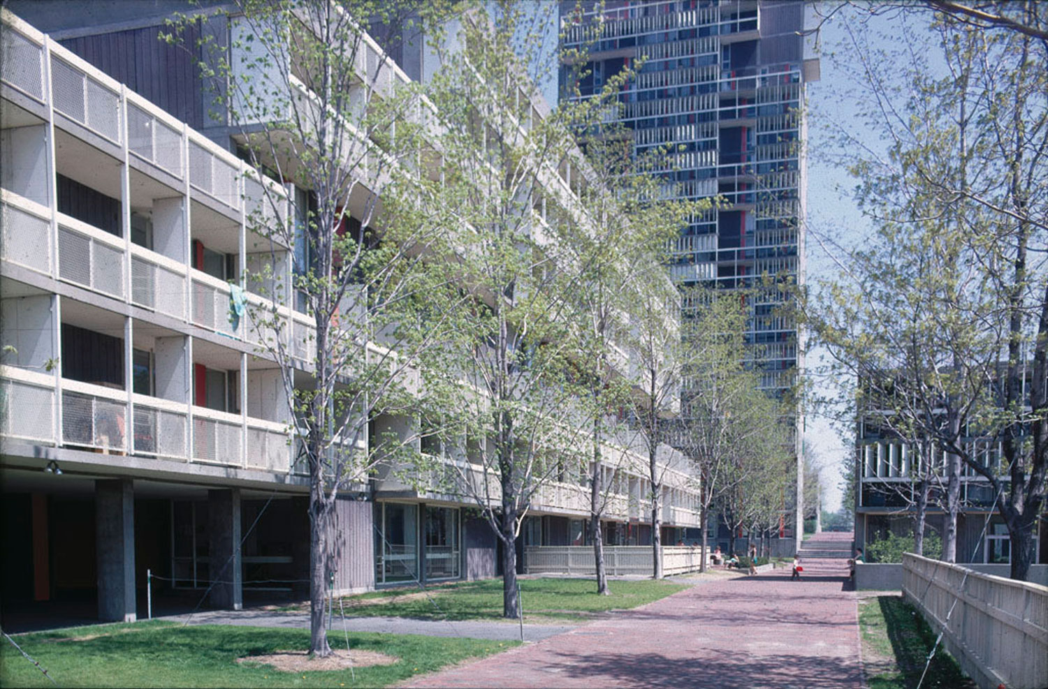 Exterior brick walkway along side concrete buildings.