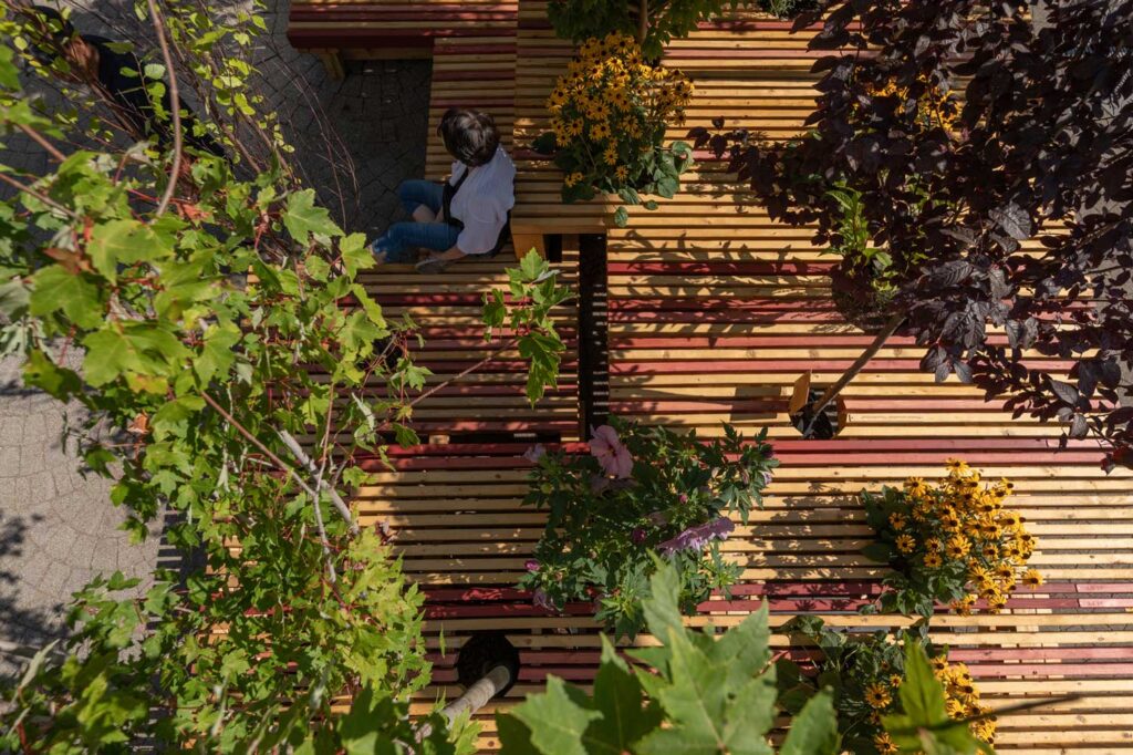 Belinda Tato’s Ecosistema Urbano Selected to Design Cambridge Cool Spots