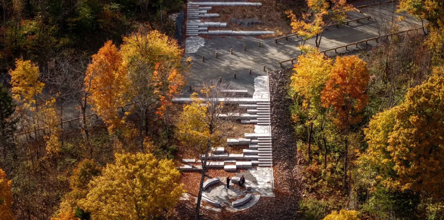 Aerial view of fall leaves in the landscape.