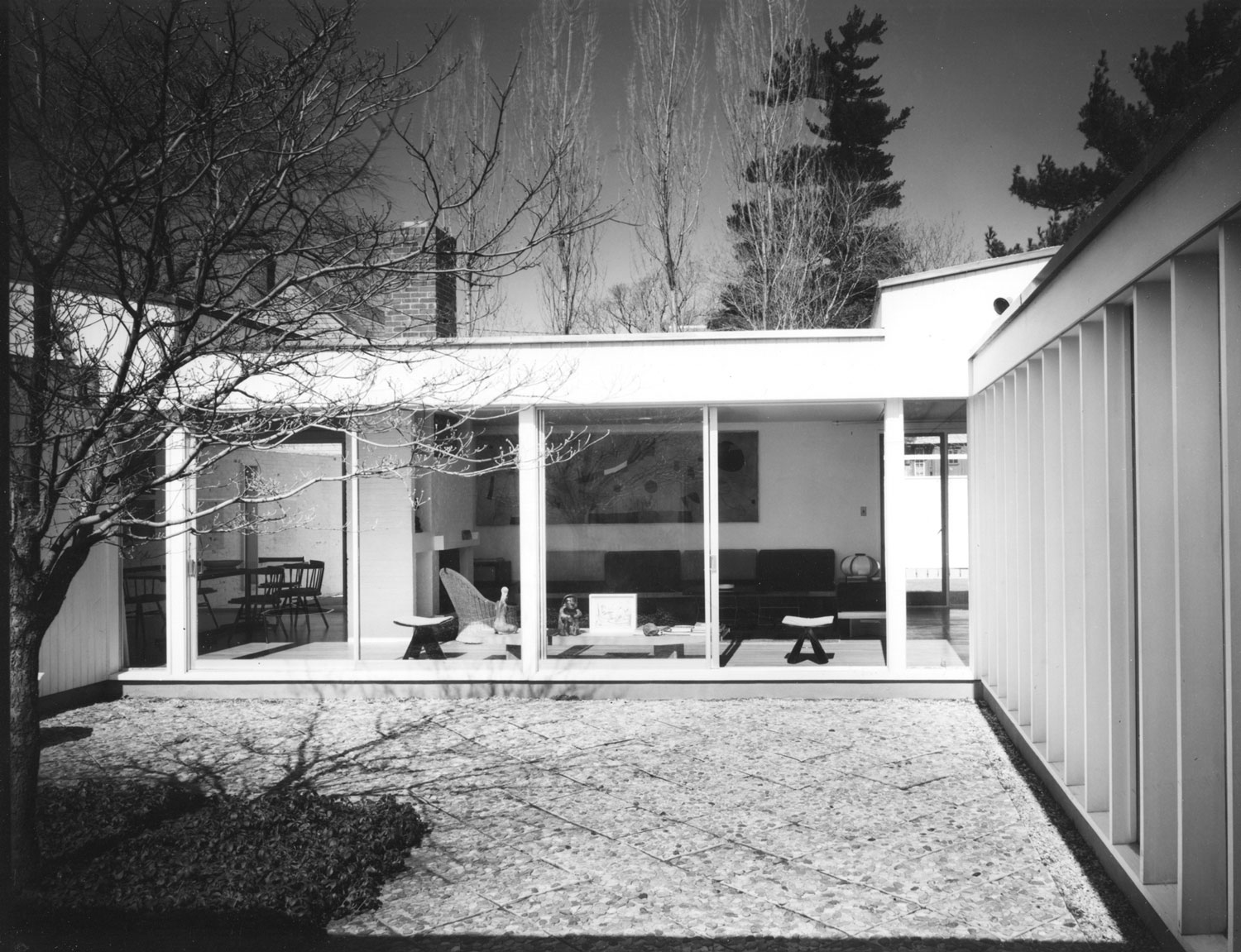 Courtyard of a house with trees and lots of glass.