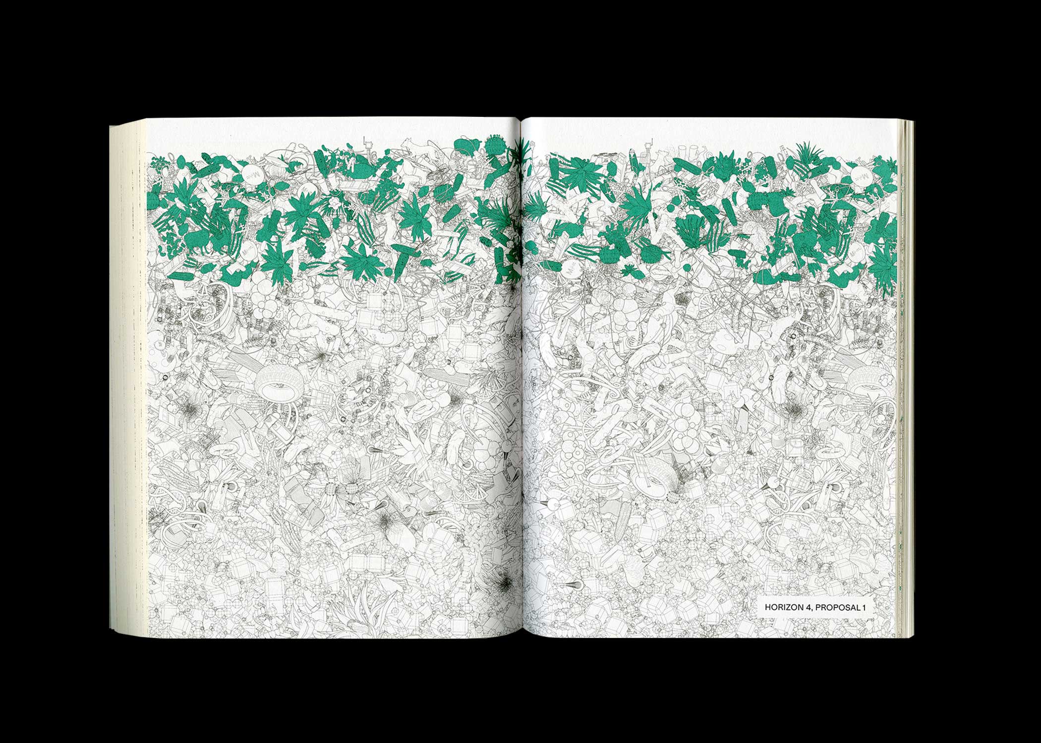 Book spread showing line drawings with green.