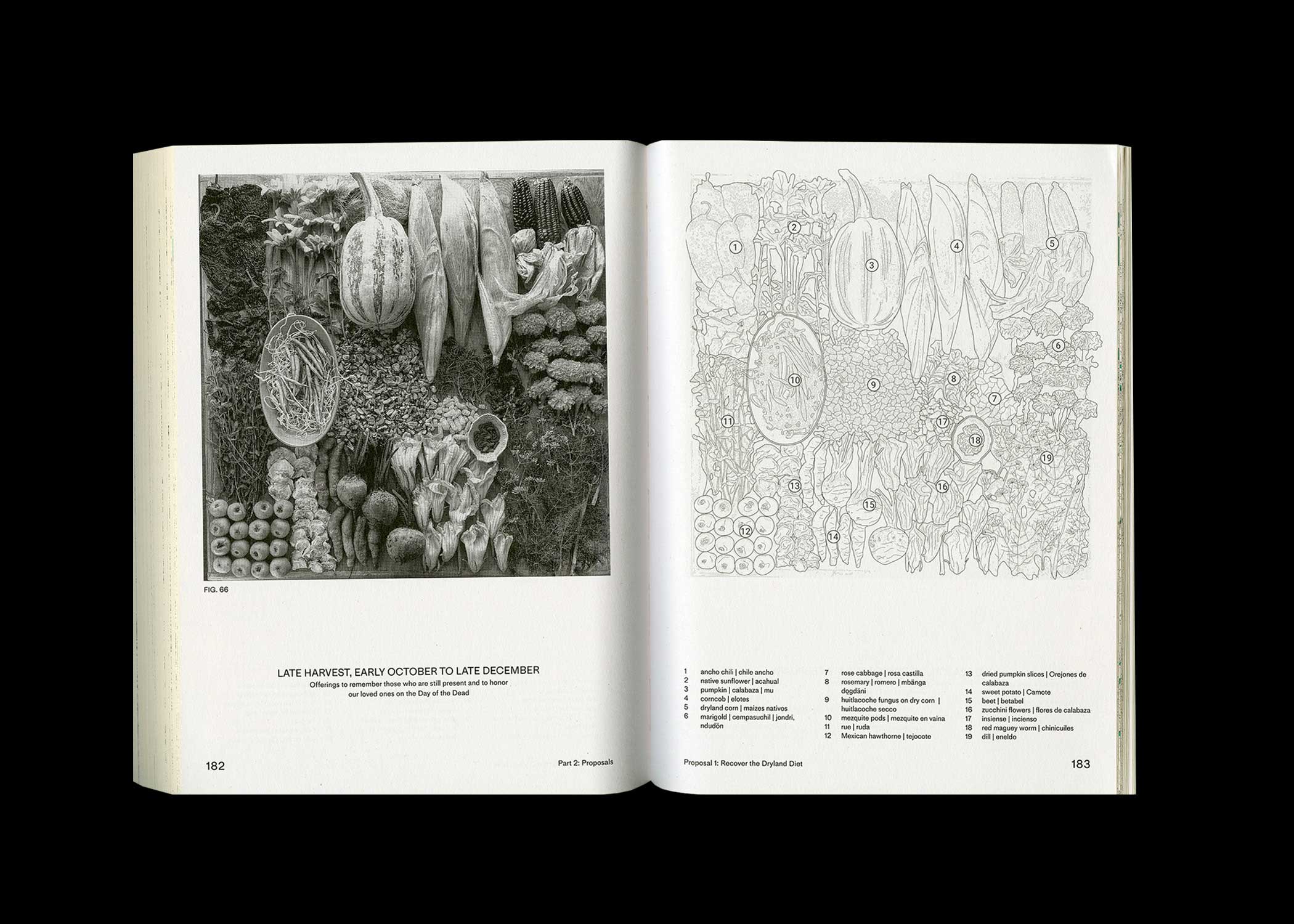 Book spread showing images, line drawings, and words.