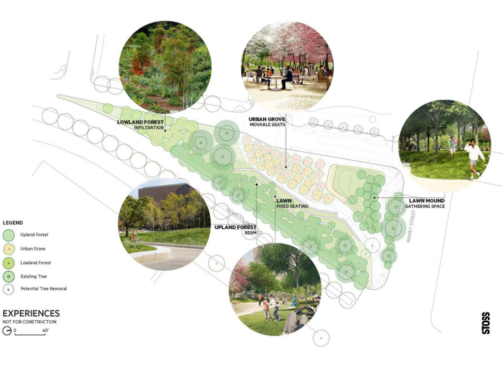 A diagram showing various features of the landscape of Triangle Park in Cambridge.