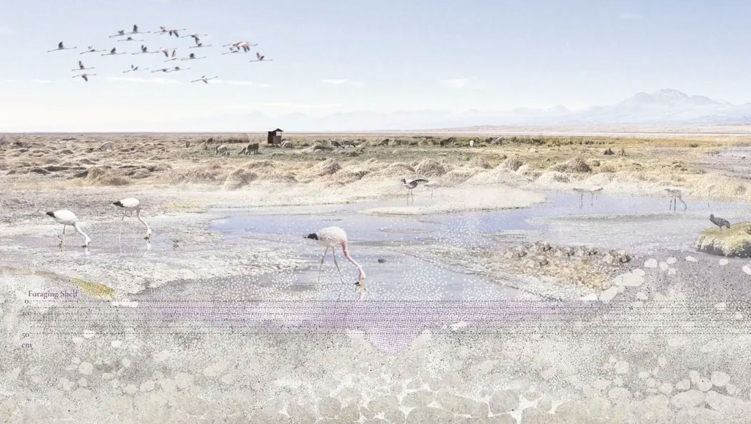 Rendering of flamingos in a wetland.