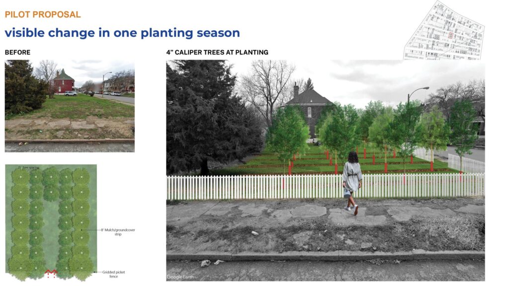 a city lot in two images, one grassy and bare, the other with rows of small trees behind a picket fence