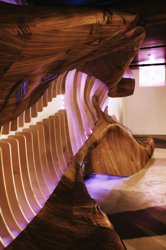The Hidden Ways Design Affects Emotions